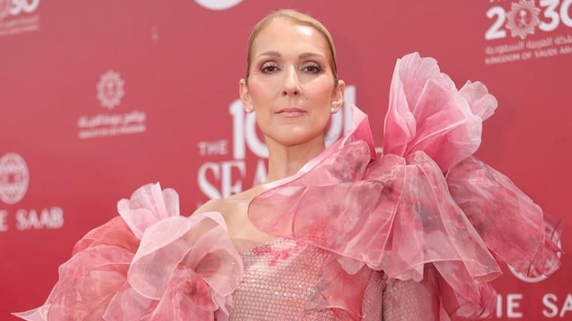 Celine Dion Elie saab