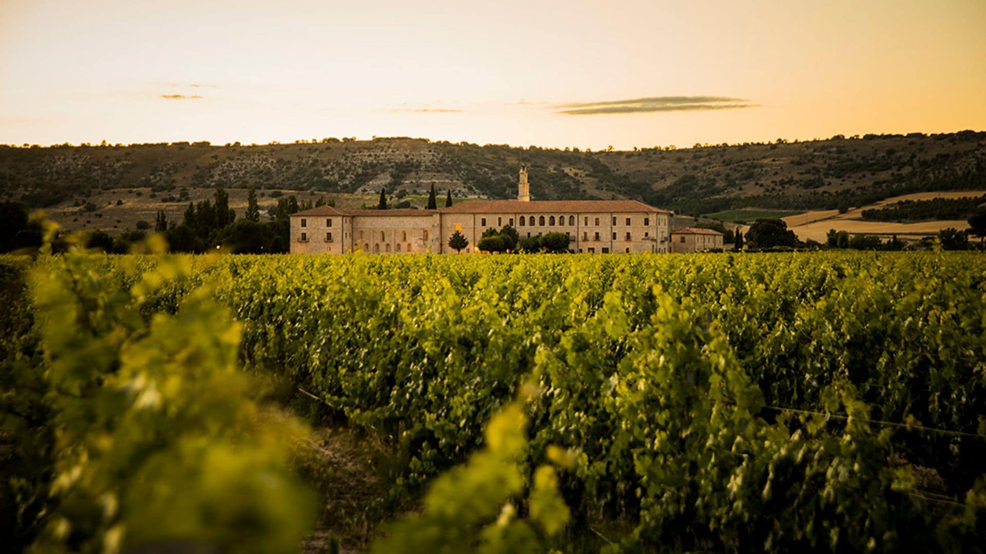 Abadía Retuerta, santuario del lujo, el vino y las experiencias