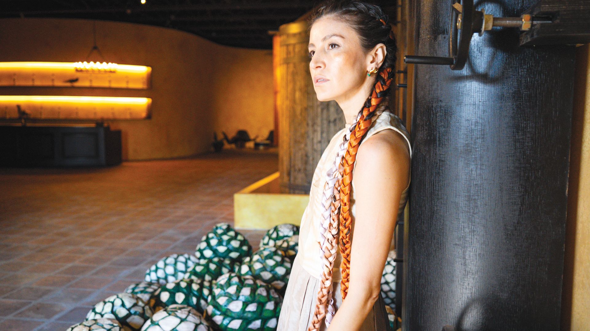 Danié Gómez-Ortigoza Tequila Town