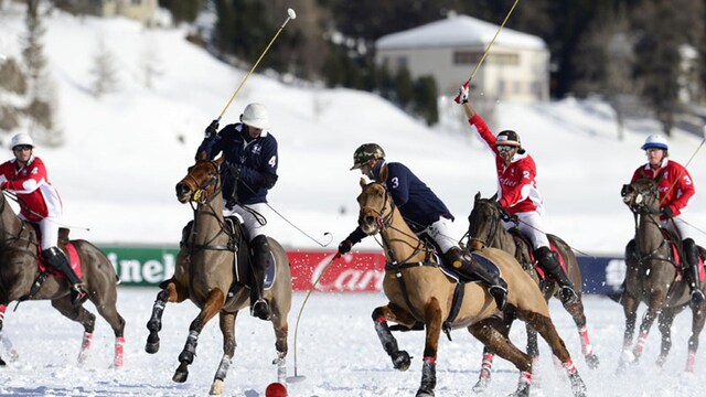 polo