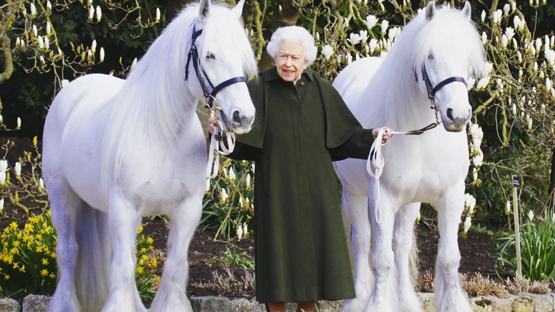 El tsunami mediático que sacude el 96º cumpleaños de Isabel II tras la polémica entrevista del príncipe Harry