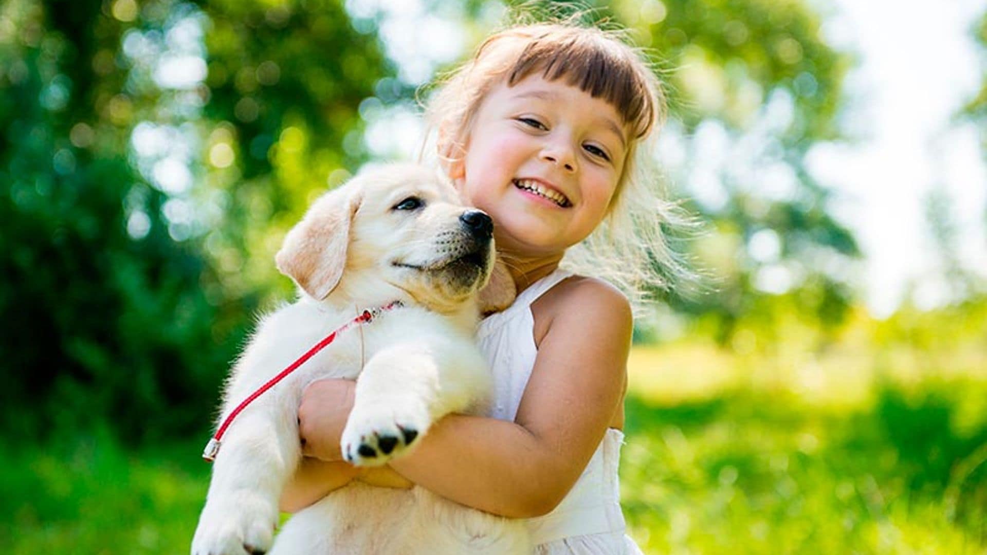 Ya puedes despedirte de la alergia a los animales
