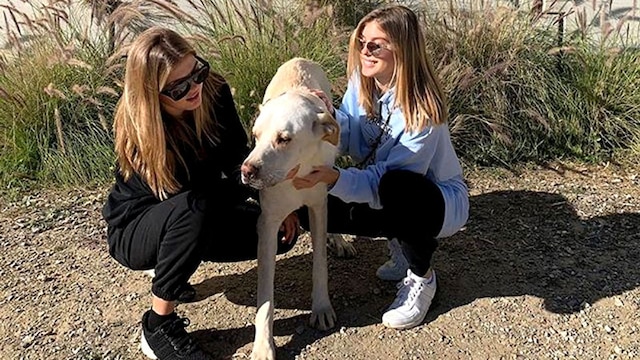 hijas julio iglesias
