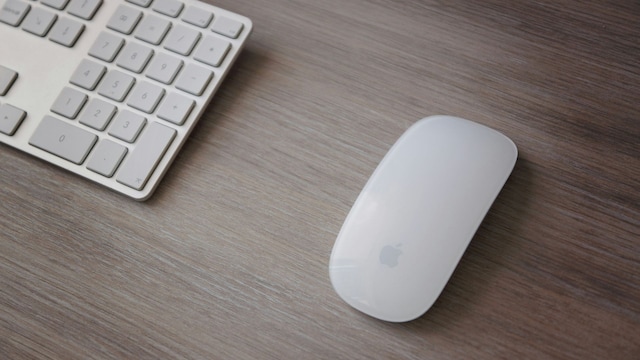 Un teclado y un ratón