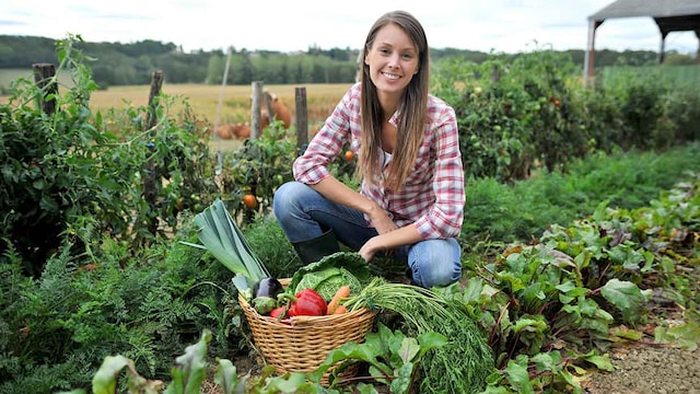 vegetales huerto