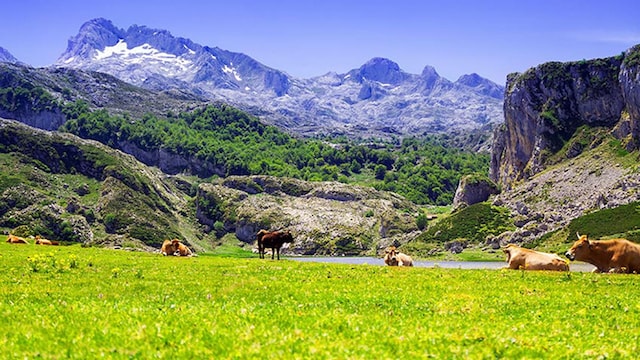 asturias