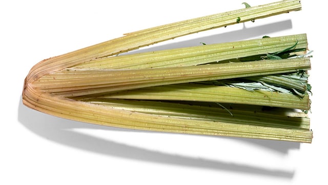 cardo