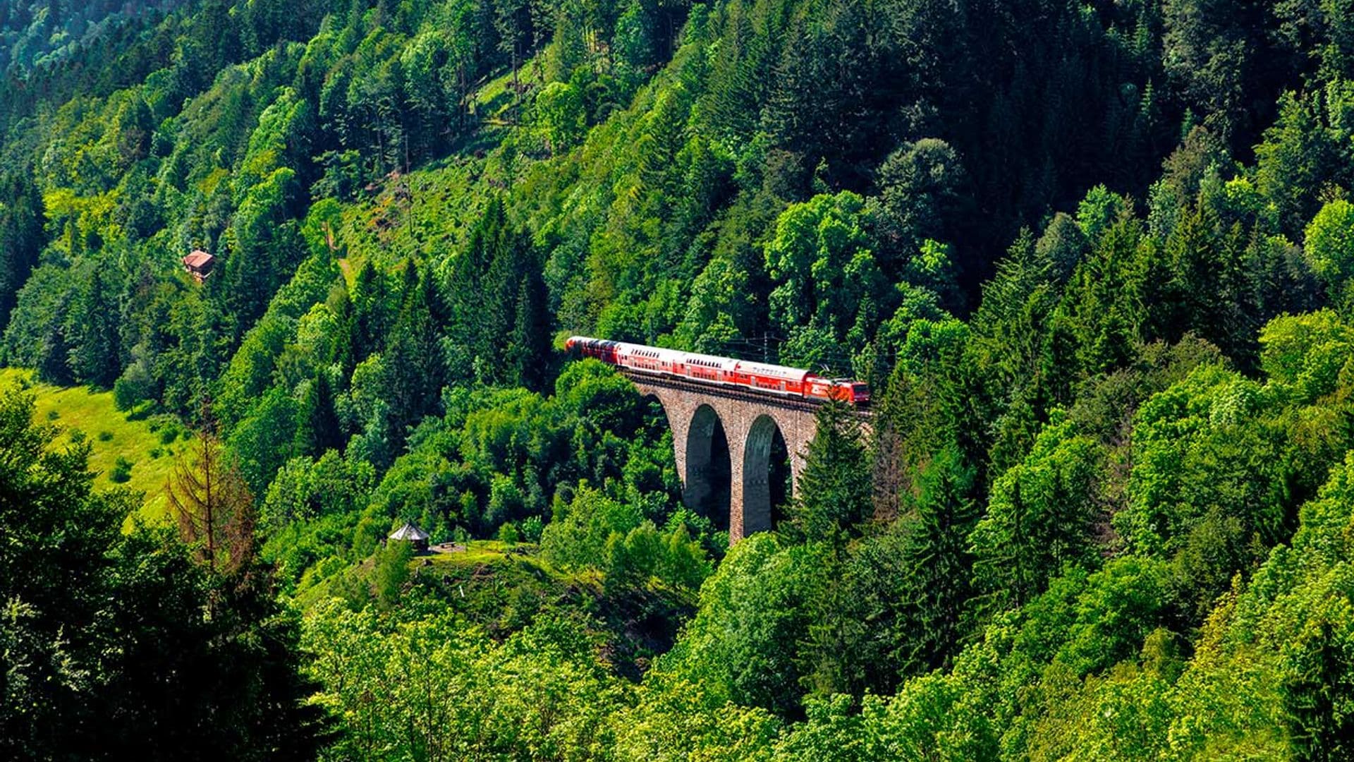 Las mejores rutas en tren por Alemania, ¡sube y disfruta!