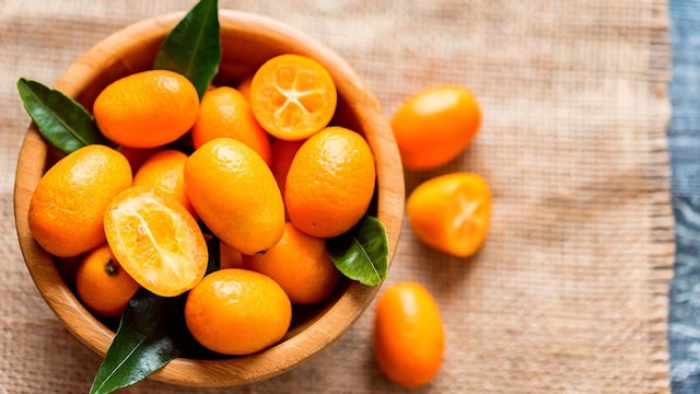 kumquat