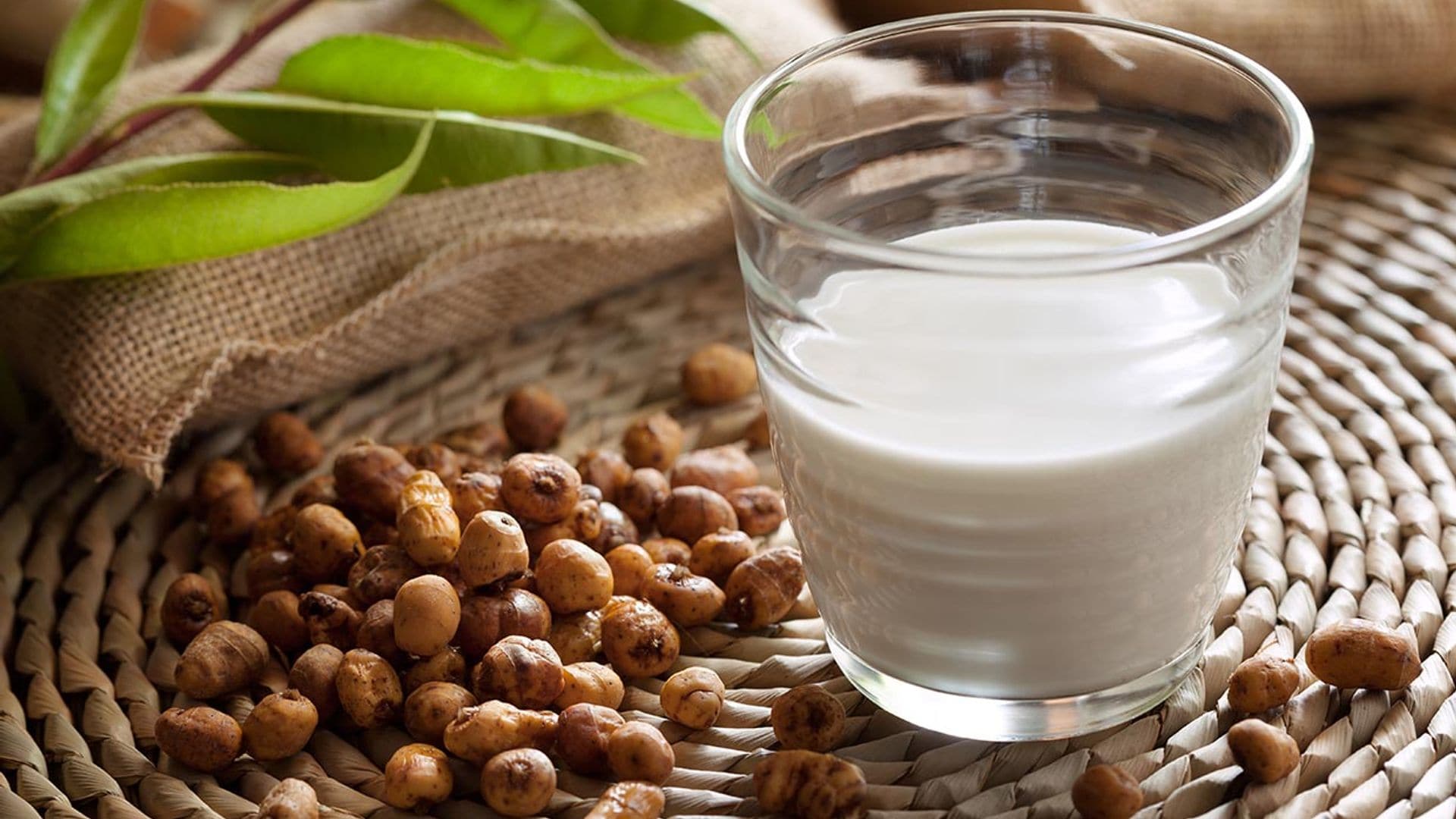 horchata nutrientes