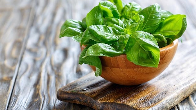albahaca