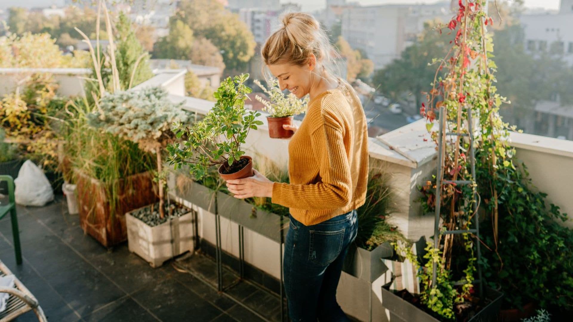 Las plantas de exterior más bonitas y fáciles de cuidar