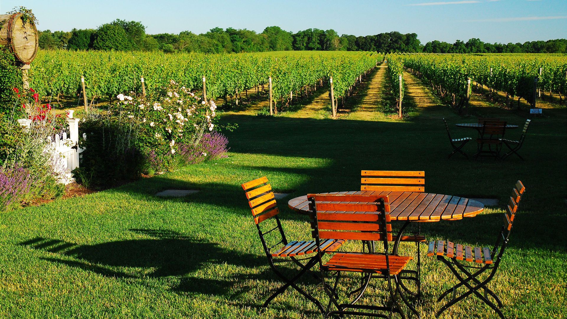 Viñedos y bodega en North Fork, Long Island, Nueva York