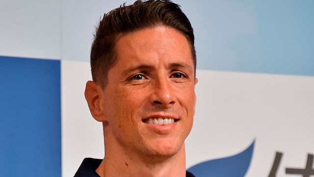 fermando torres