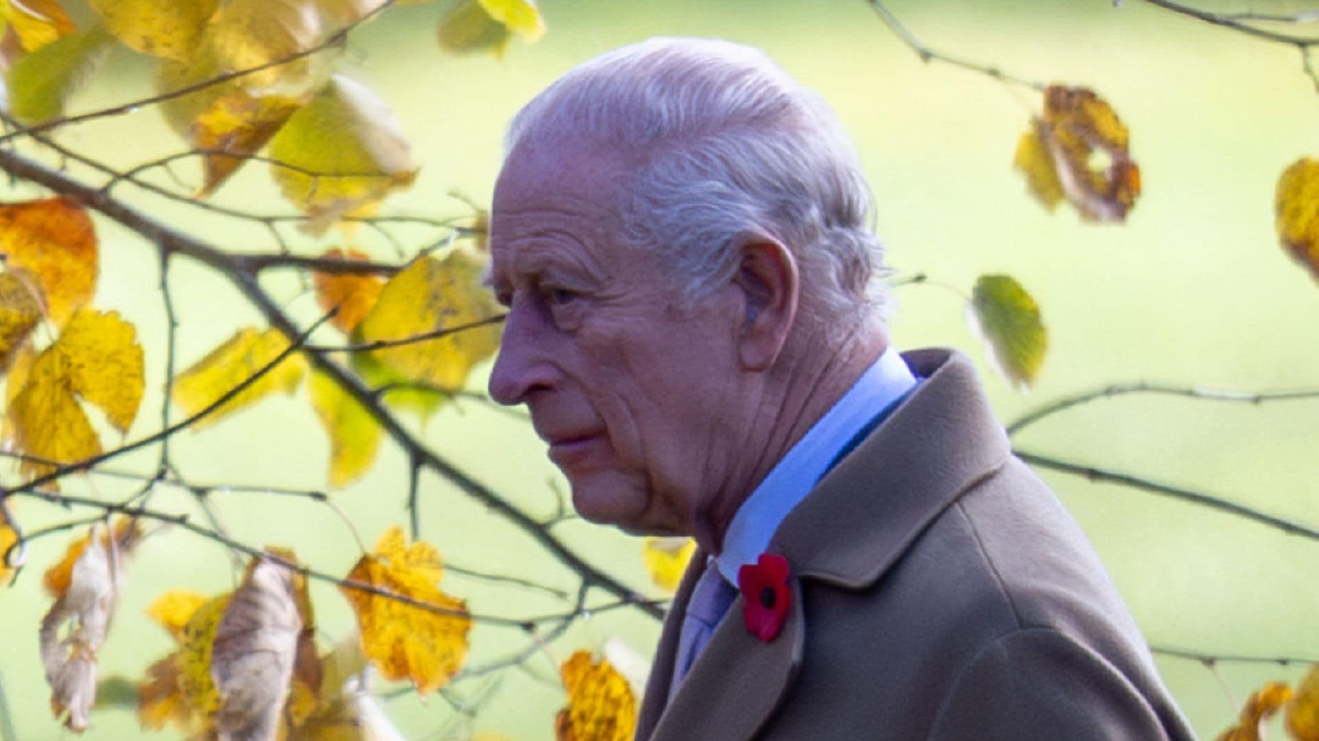 El rey Carlos III, conmocionado por el ataque en Cambridgeshire: “Nuestro más sentido pésame y nuestras condolencias a todos los afectados y a sus seres queridos”