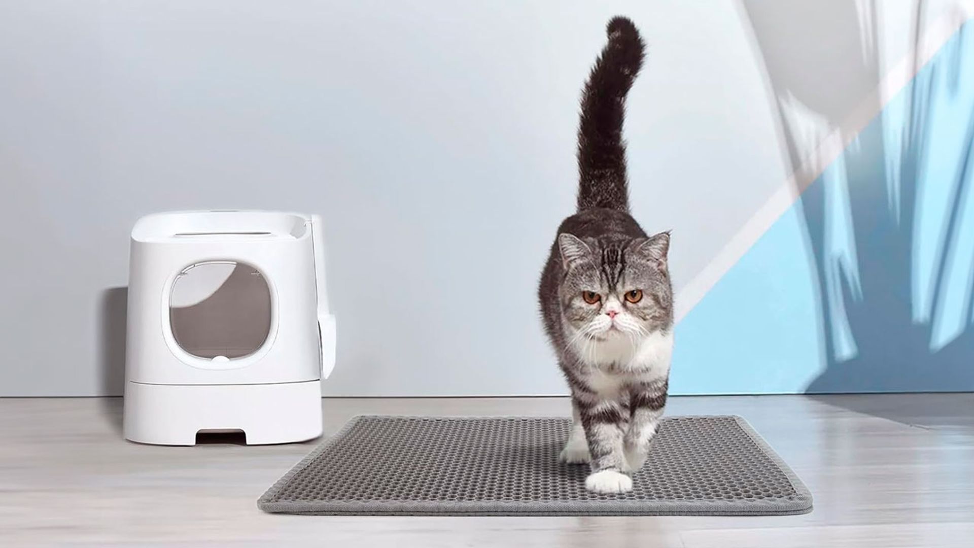 Esta alfombra troquelada cuesta menos de 15€ y evita que la arena de tu gato acabe por todas partes