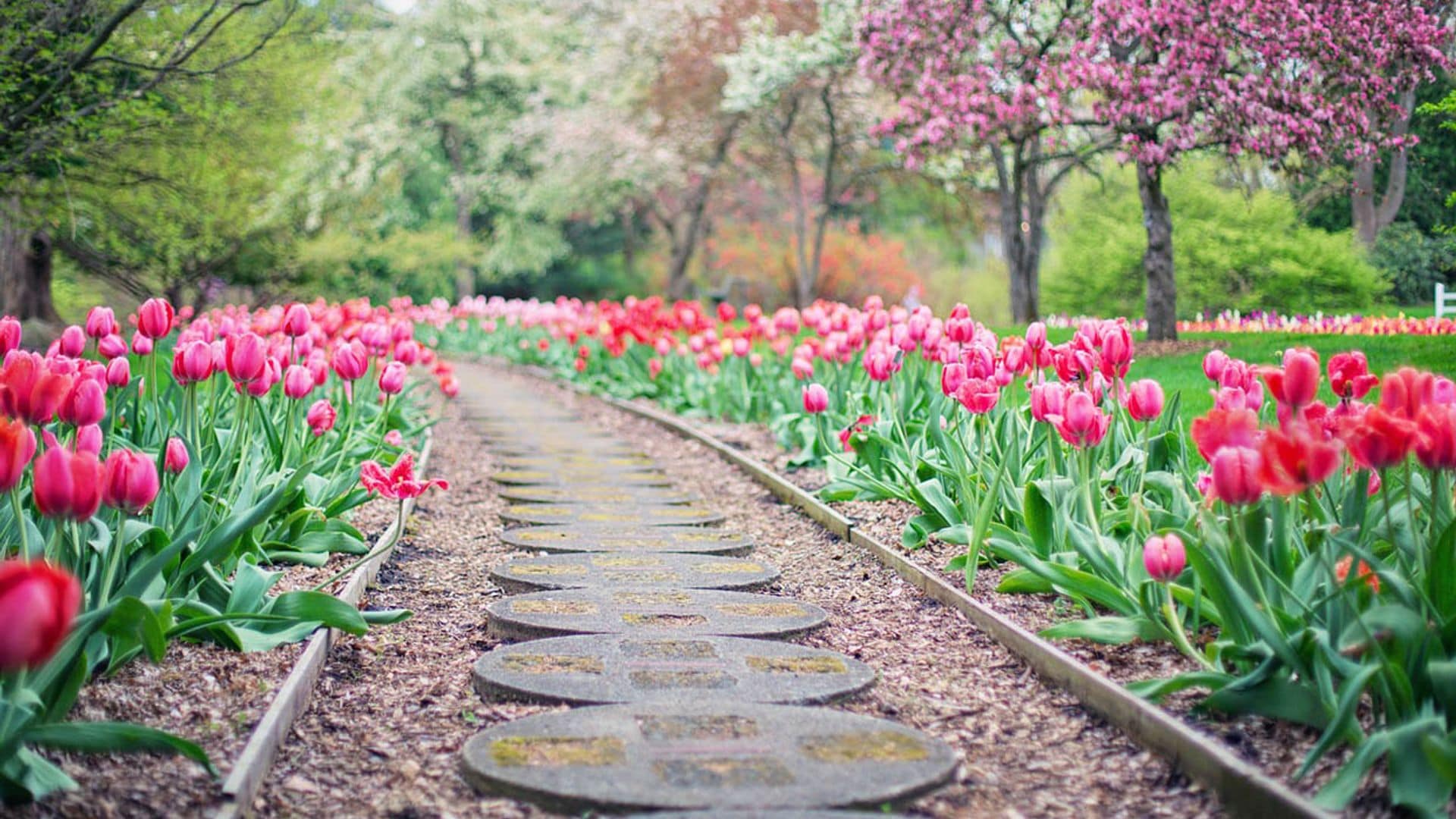 Tareas imprescindibles para poner a punto el jardín de cara a la primavera