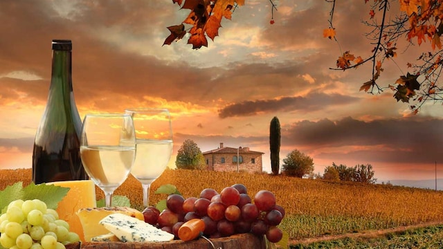 vinos naturales