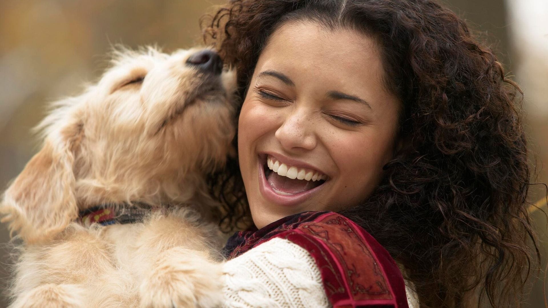 Descubre cómo puede influir tu mascota en tu estado de ánimo