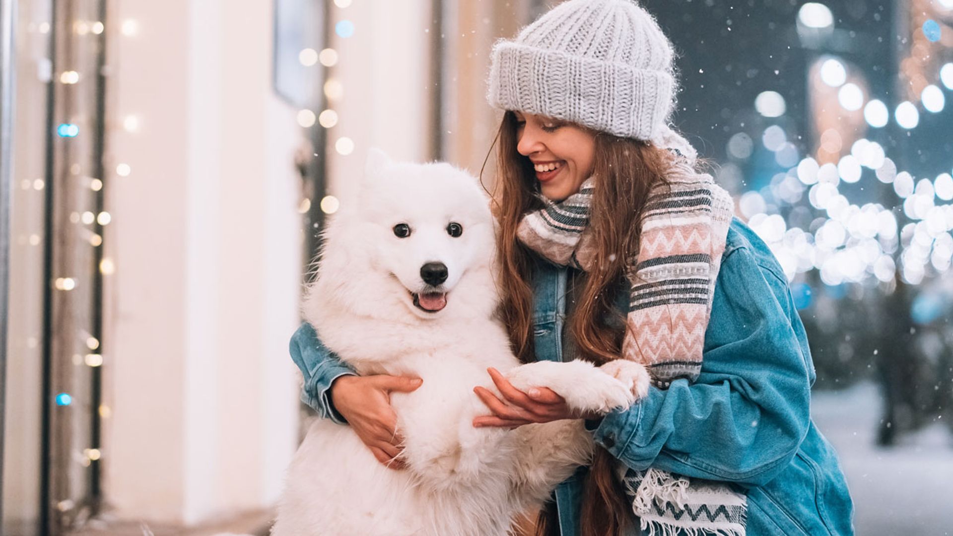 ¿Es bueno educar a un perro con el clicker?