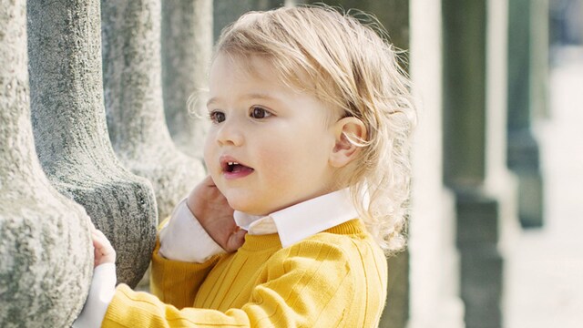 alexander2t