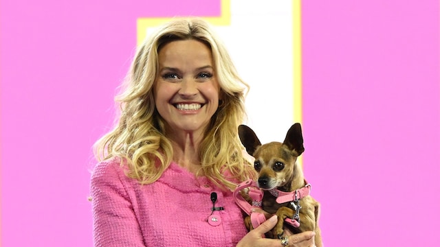 Reese Whiterspoon desvela la oscura ficción que le inspiro a hacer 'Elle', la precuela de 'Una rubia muy legal?