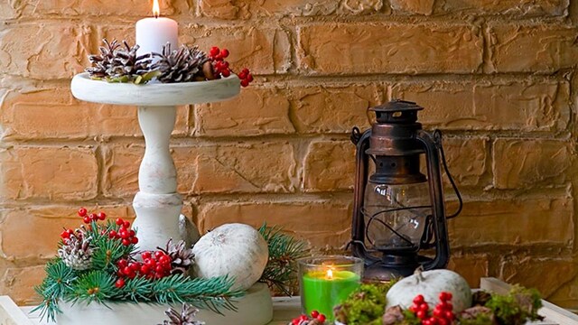 flores plantas deco navidad