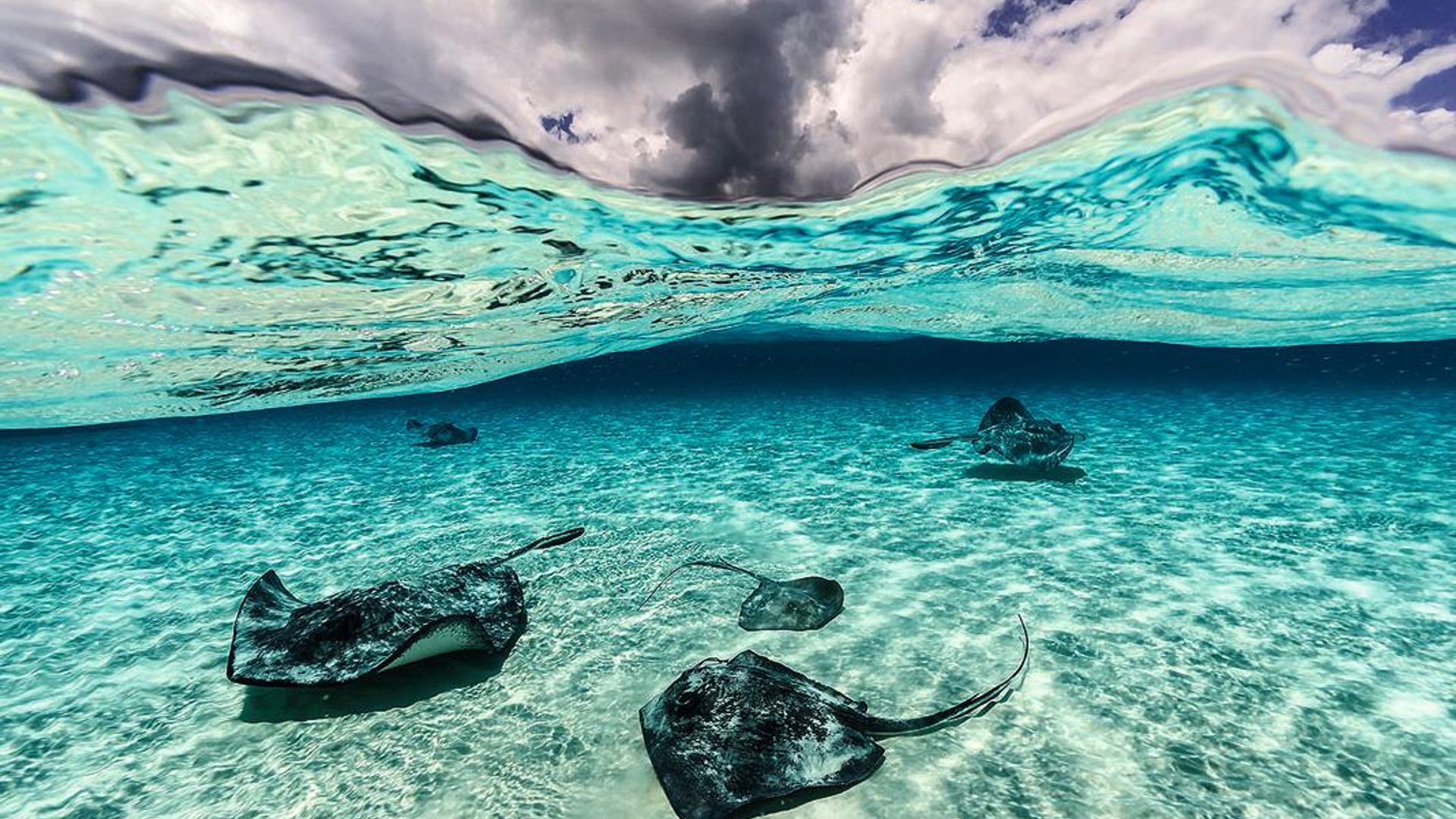 El paraíso desconocido bajo el mar