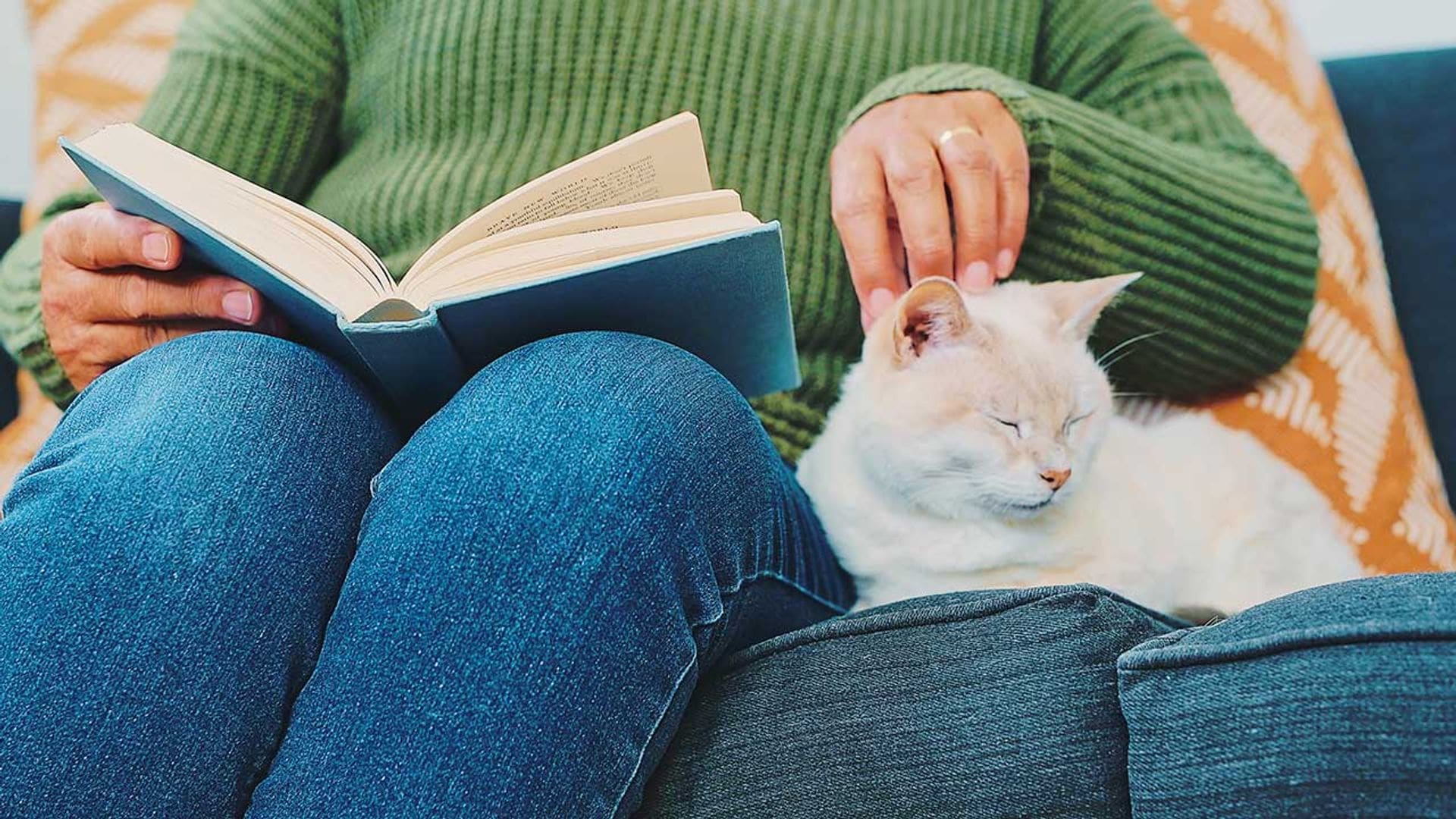 Estos son los libros que como amante de los gatos deberías leer