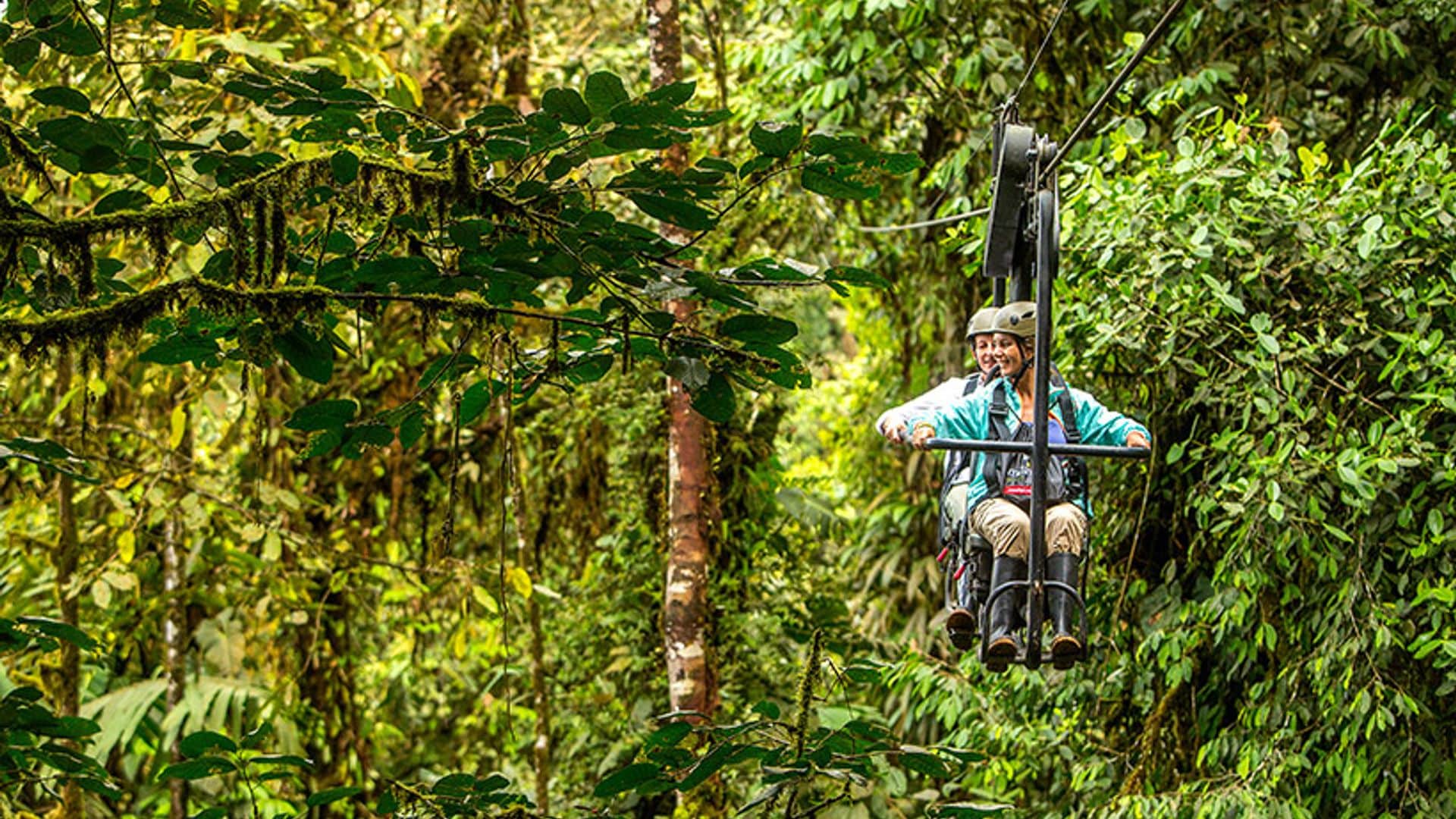 El bosque de Ecuador que se descubre en bici por la copa de los árboles