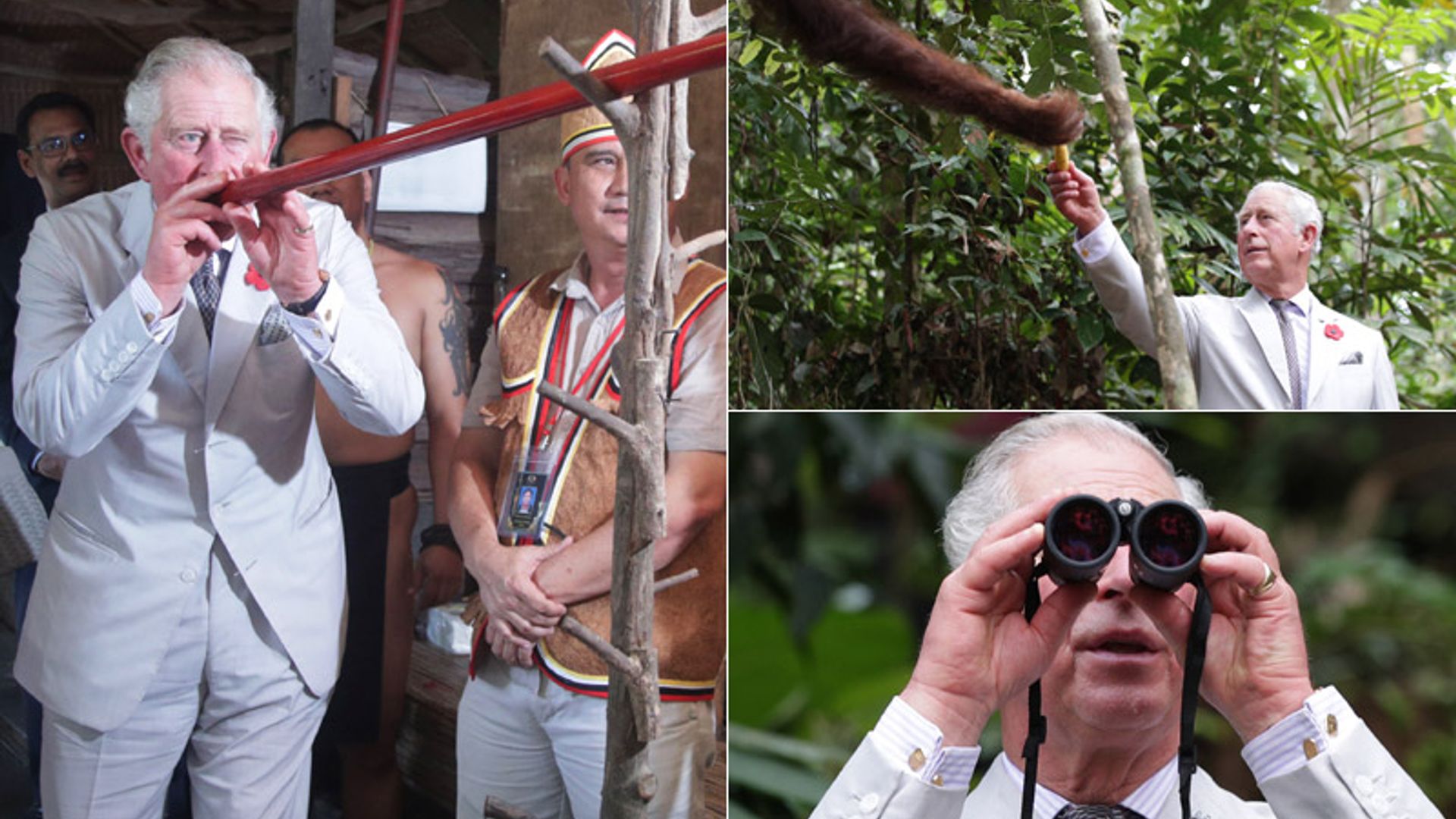 Entre monos y practicando con la cerbatana, el príncipe Carlos se convierte en un intrépido explorador