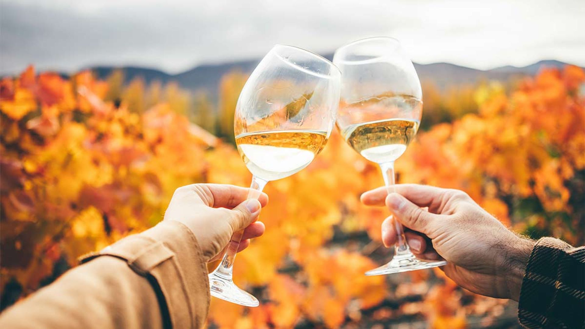 Un brindis por la solidaridad