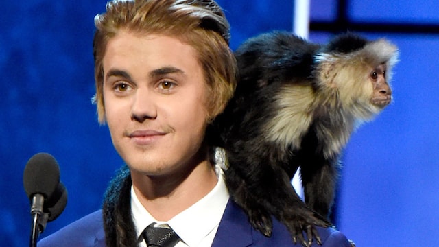 justin 