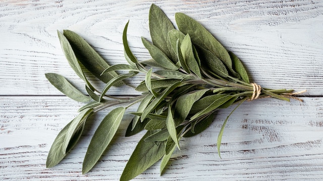 Ramo de hojas de salvia fresca sobre una mesa de madera