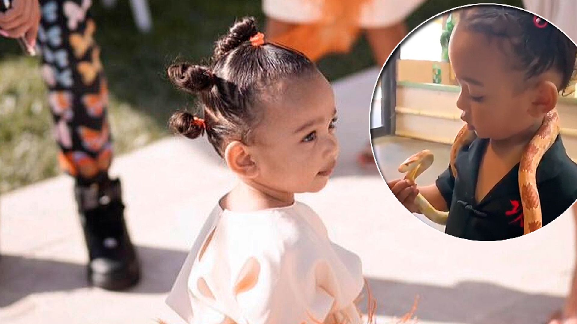 ¡Pequeña valiente! Con solo un año, la hija de Kim Kardashian juega con serpientes