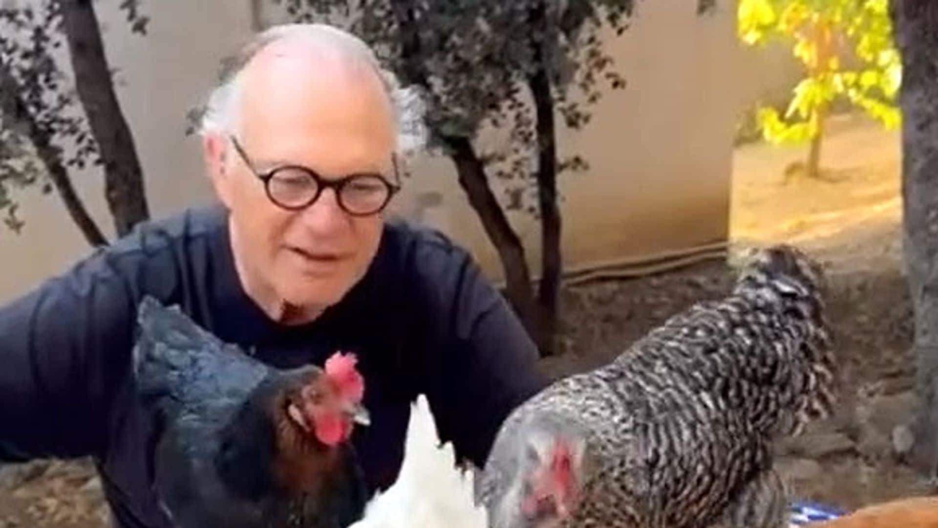 La curiosa forma de Pedro Piqueras de relajarse entre gallinas: “No se puede pedir más”