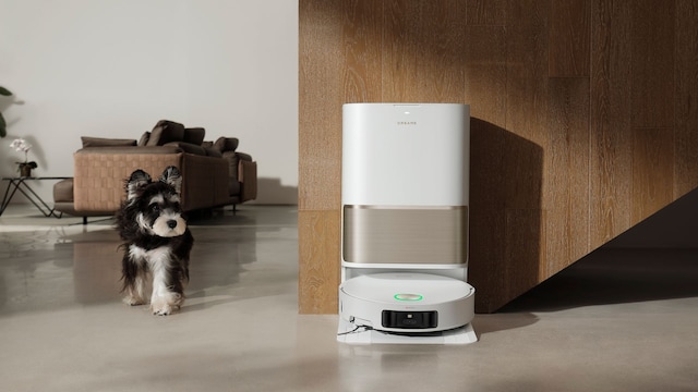 Un robot Dreame en un salón junto a un perro