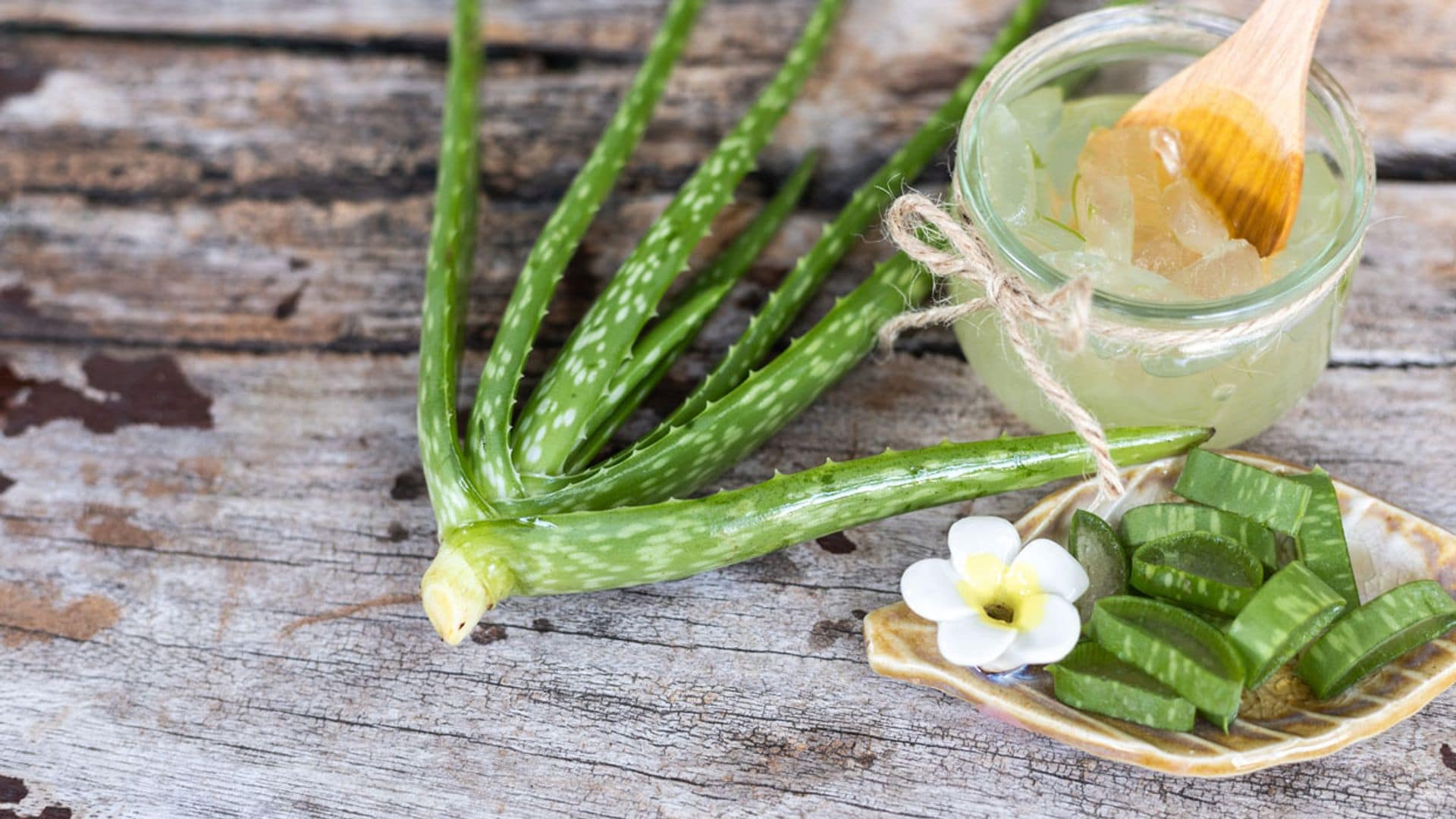 Por qué el aloe vera es un buen aliado para tratar las cicatrices