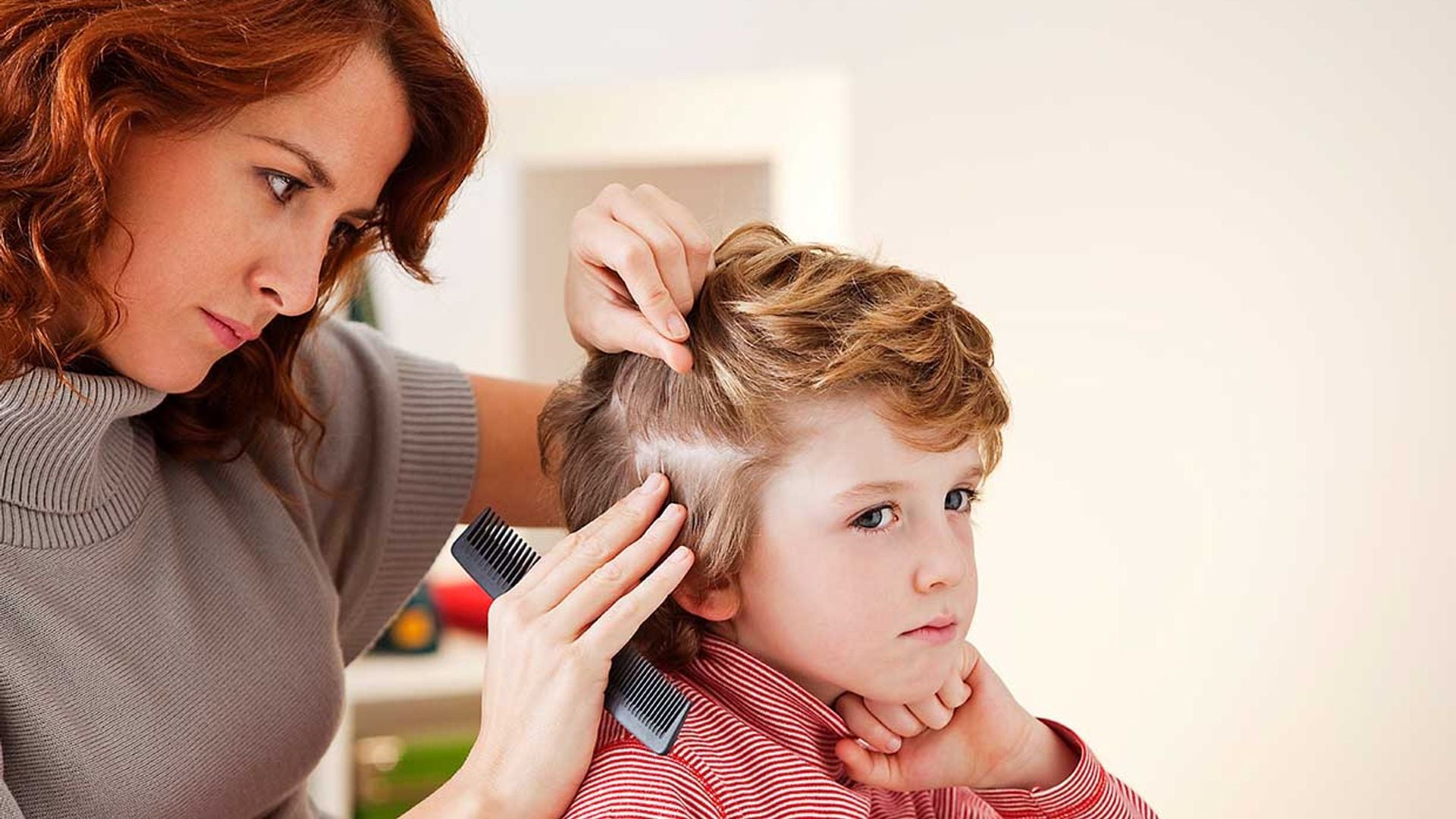 Si tu hijo tiene piojos, ¿tu mascota podría contagiarse?