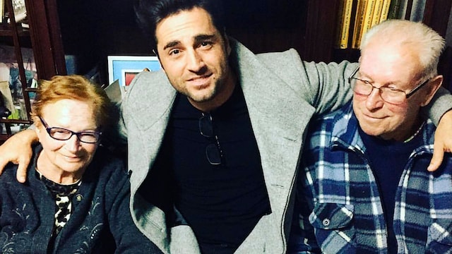 david