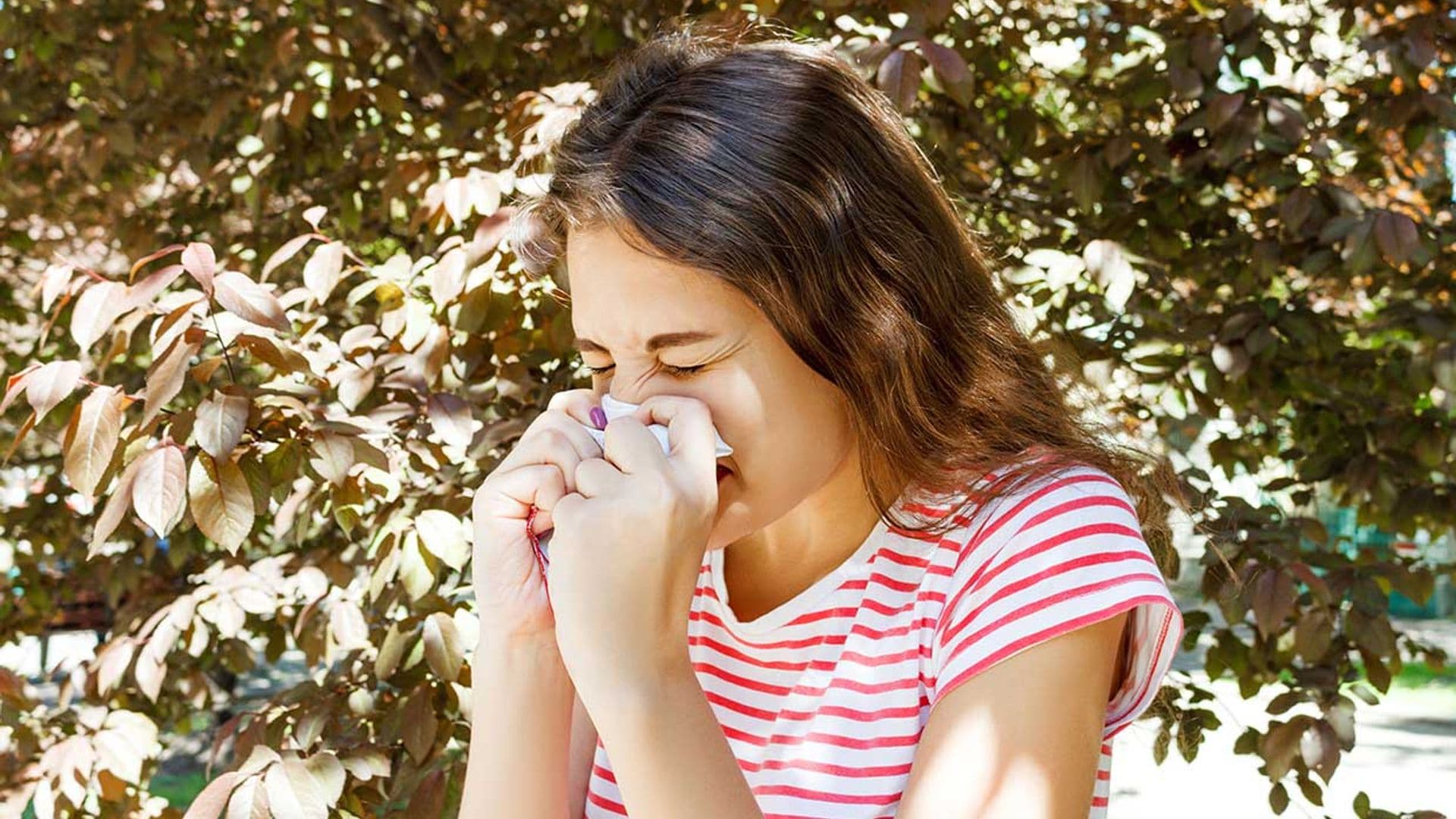 Plantas que no deberías tener en casa si sufres de alergia