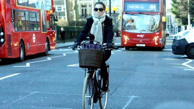 pippa1 gtres