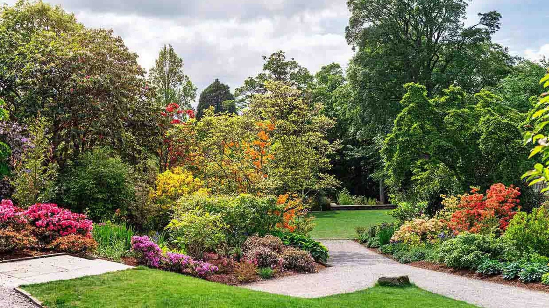 10 plantas de exterior espectaculares capaces de resistirlo todo