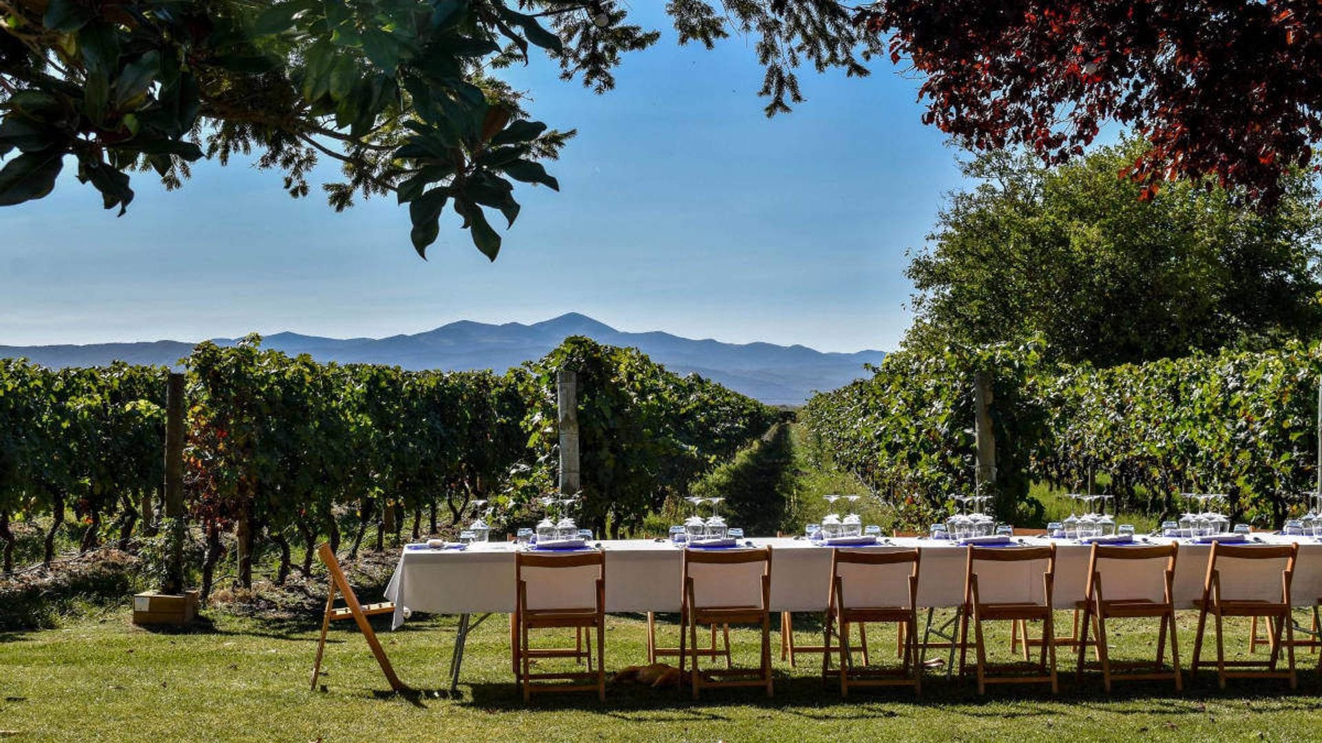 Las bodegas son (también) para el verano