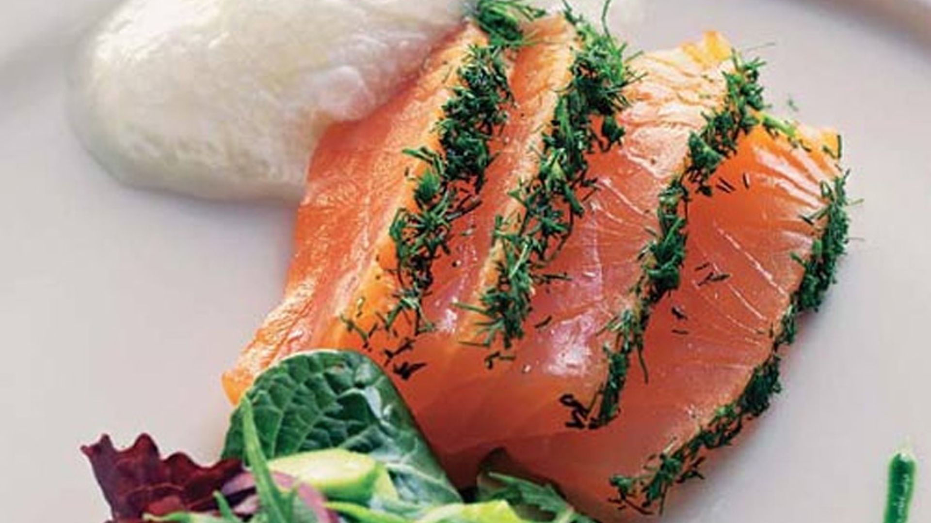 'Gravlax' con espuma de pepino y yogur