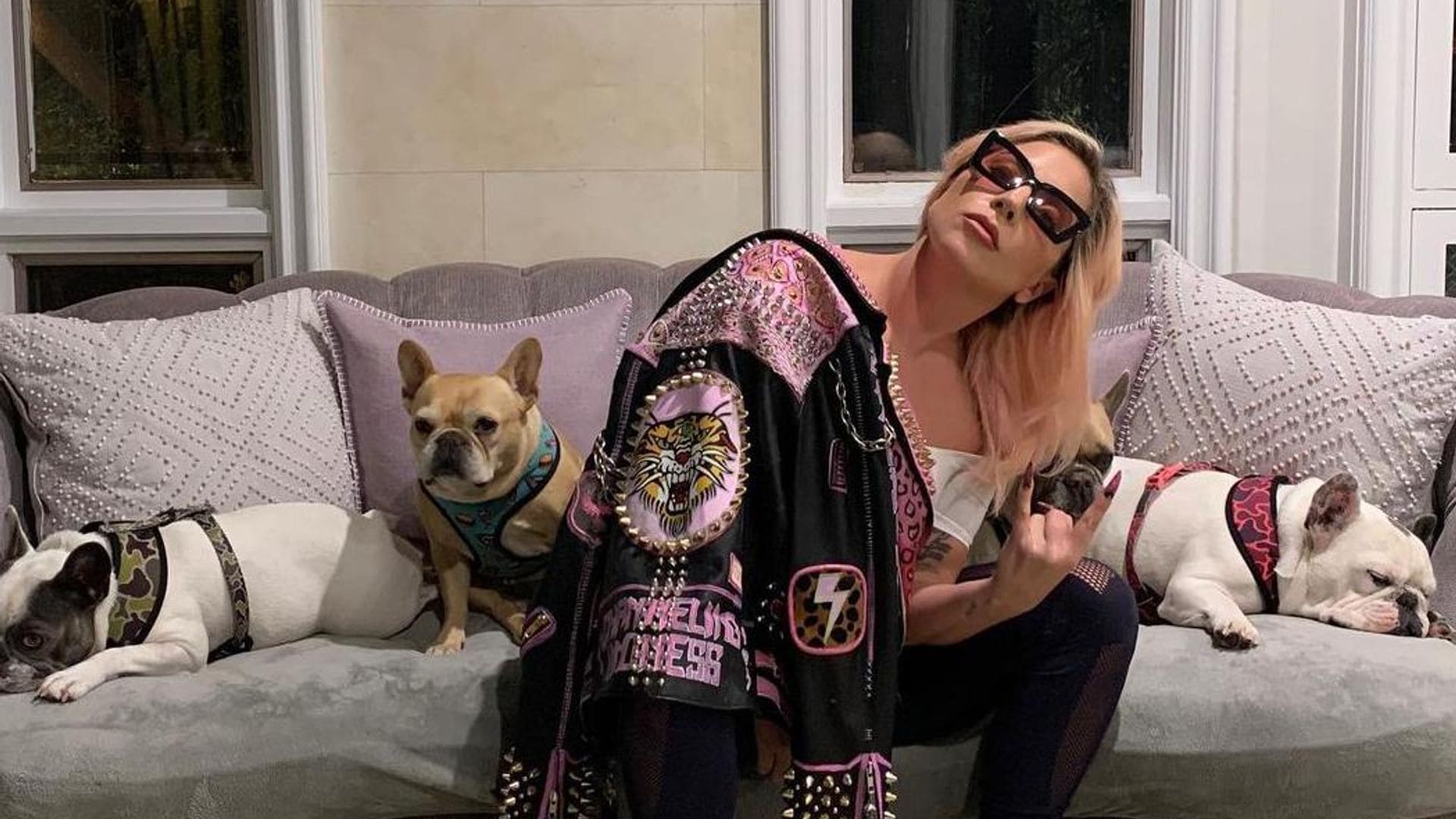 Lady Gaga no pagará la recompensa que le exigía la mujer que encontró a sus perros