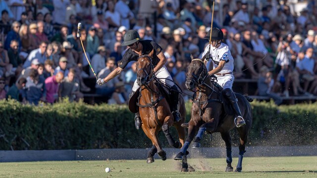 Torneo Polo