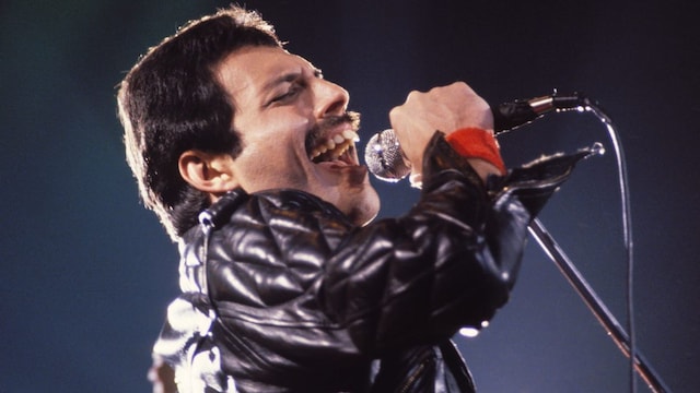 freddie