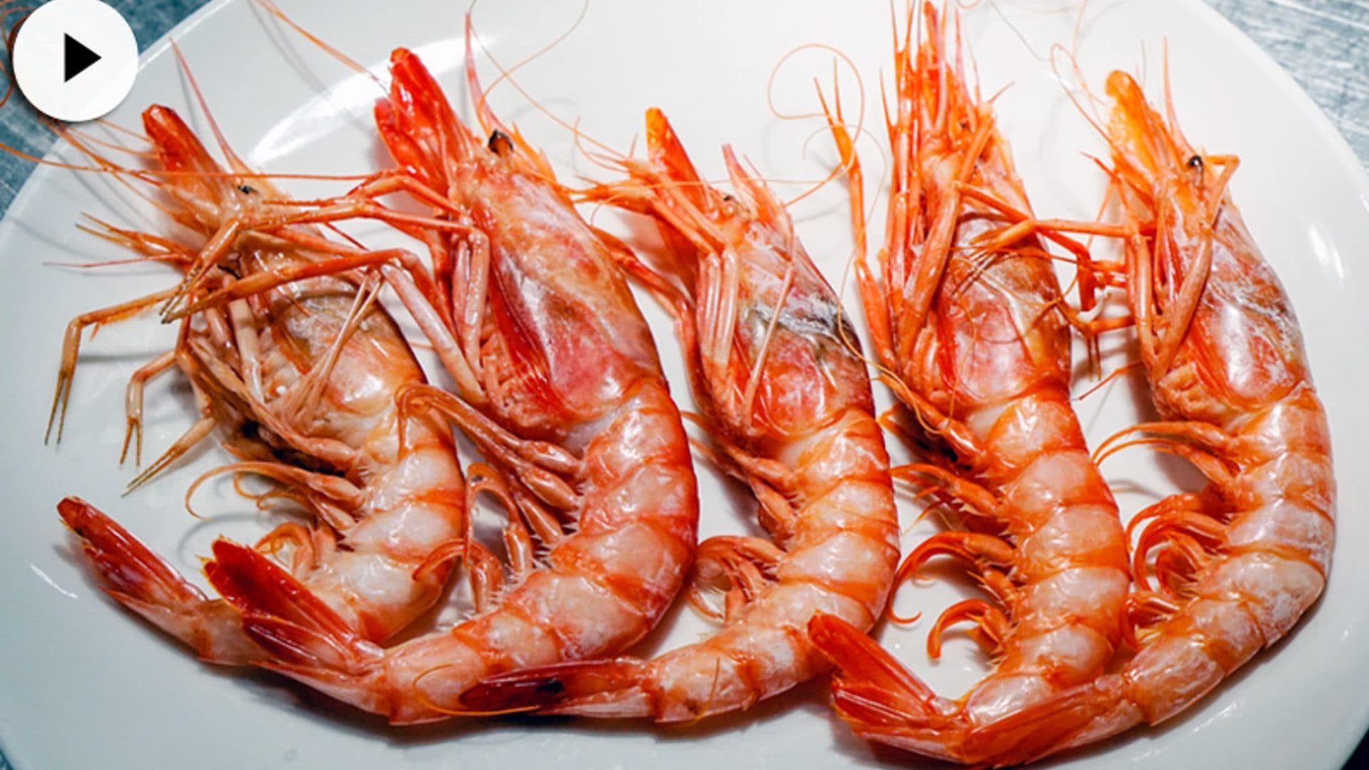 gambas tipos