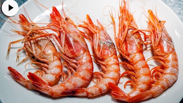 gambas tipos